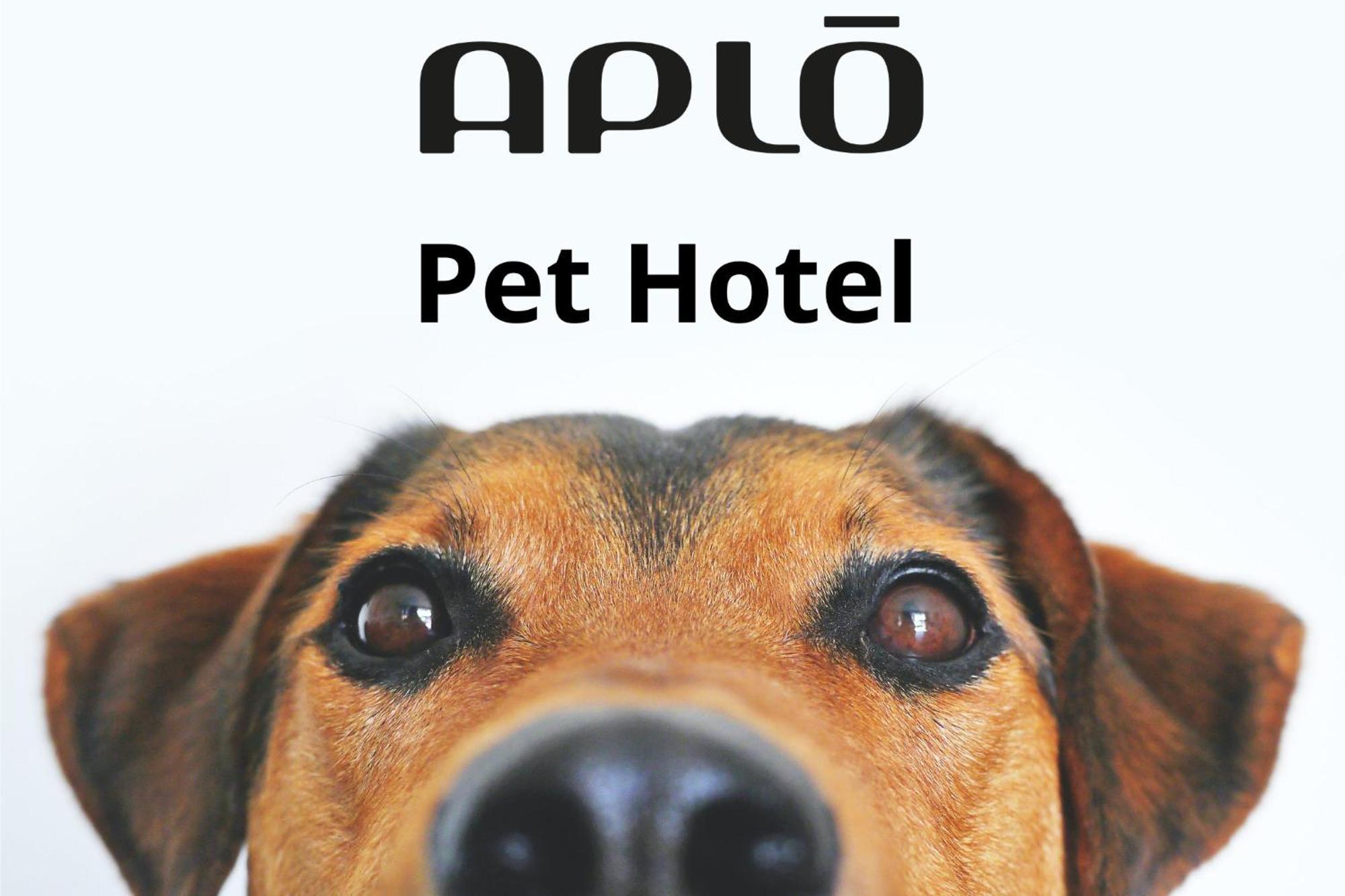 Hotel Aplo - Breakfast Experience Cervia Exterior foto